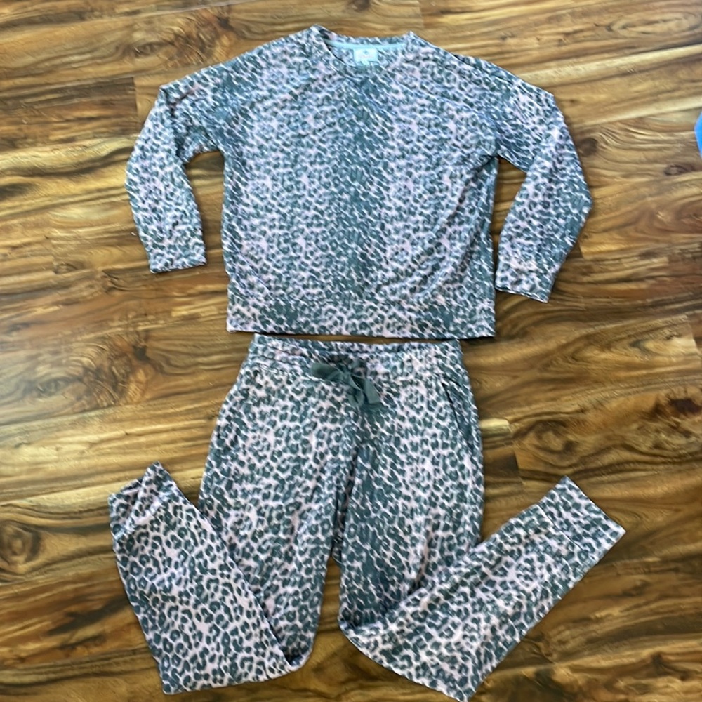 Sundry 2 piece sweatsuit! pink and black leopard print! Both are size 2 (medium)